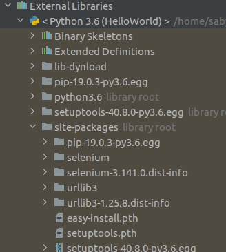 SELENIUM PYTHON TUTORIAL FOR BEGINNERS