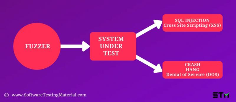 РУКОВОДСТВО ПО FUZZ-ТЕСТИРОВАНИЮ | ЧТО ВЫ СЛЕДУЕТ ЗНАТЬ