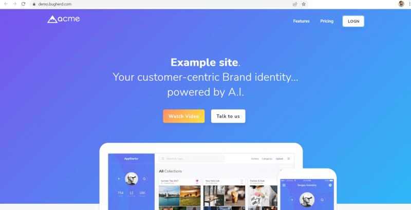 ОБЗОР BUGHERD 2023: ИНСТРУМЕНТ ОТСЛЕЖИВАНИЯ ОШИБОК И ПРОГРАММНОЕ ОБЕСПЕЧЕНИЕ ВИЗУАЛЬНОЙ ОБРАТНОЙ СВЯЗИ